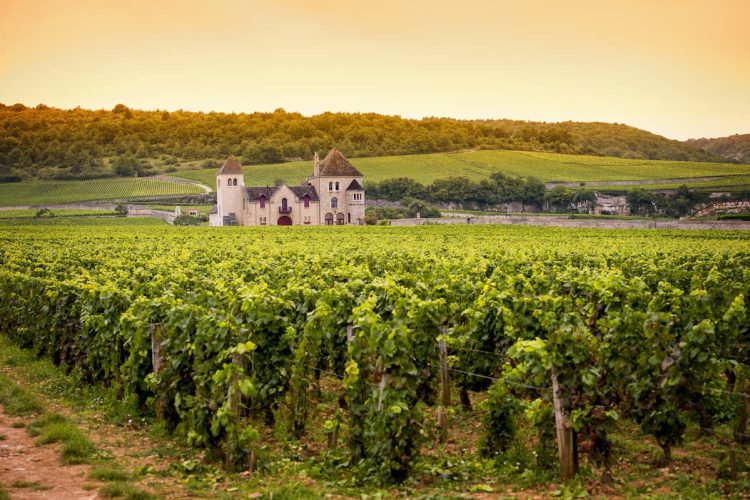 prix vin Côtes-du-Rhône